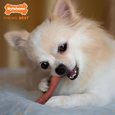 Nylabone - Jouet à mâcher - Dura Chew