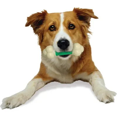 Nylabone - Jouet à mâcher - Extreme Chew