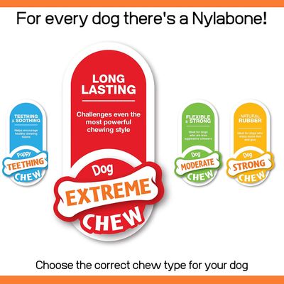 Nylabone - Jouet à mâcher - Power Chew Texture Bone