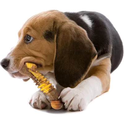 Nylabone - Jouet à mâcher - Power Chew Texture Bone Nylabone - Jouet à mâcher - Power Chew Texture Bone