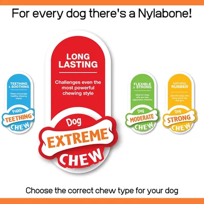 Nylabone - Jouet à mâcher - Jouet durable pour chiens