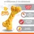 Nylabone - Jouet à mâcher - Dura Chew Nylabone - Jouet à mâcher - Dura Chew