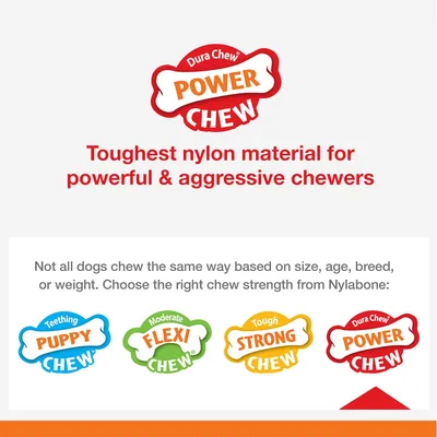 Nylabone - Jouet à mâcher - Dura Chew Nylabone - Jouet à mâcher - Dura Chew
