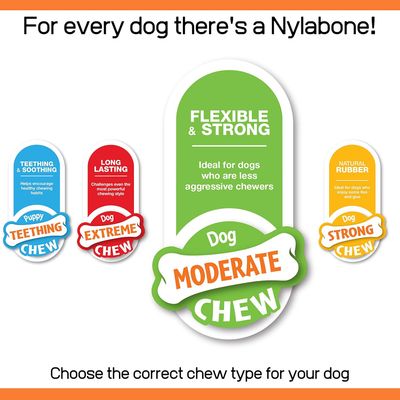 Nylabone - Jouet à mâcher - Jouet durable pour chiens