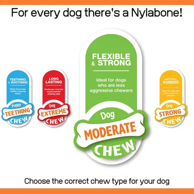 Nylabone - Jouet à mâcher - Jouet durable pour chiens