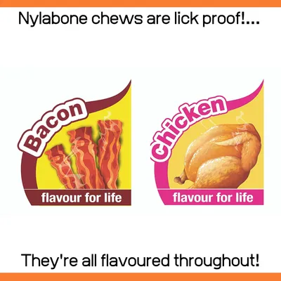 Nylabone - Jouet à mâcher - Jouet durable pour chiens