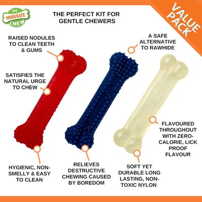 Nylabone - Jouet à mâcher - Jouet durable pour chiens