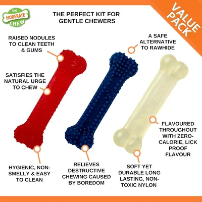 Nylabone - Jouet à mâcher - Jouet durable pour chiens