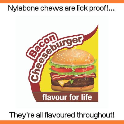 Nylabone - Jouet à mâcher - Strong Chew