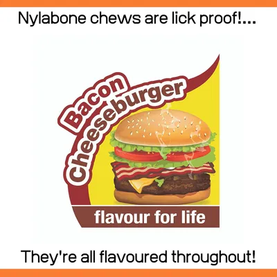 Nylabone - Jouet à mâcher - Strong Chew Nylabone - Jouet à mâcher - Strong Chew