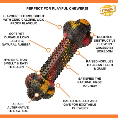 Nylabone - Jouet à mâcher - Strong Chew Nylabone - Jouet à mâcher - Strong Chew
