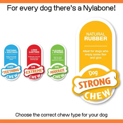 Nylabone - Jouet à mâcher - Strong Chew Nylabone - Jouet à mâcher - Strong Chew