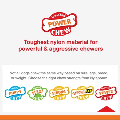 Nylabone - Jouet à mâcher - Dura Chew Nylabone - Jouet à mâcher - Dura Chew