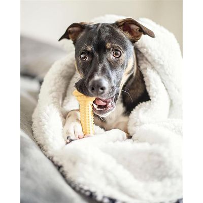 Nylabone - Jouet à mâcher - Extreme Chew Barbell