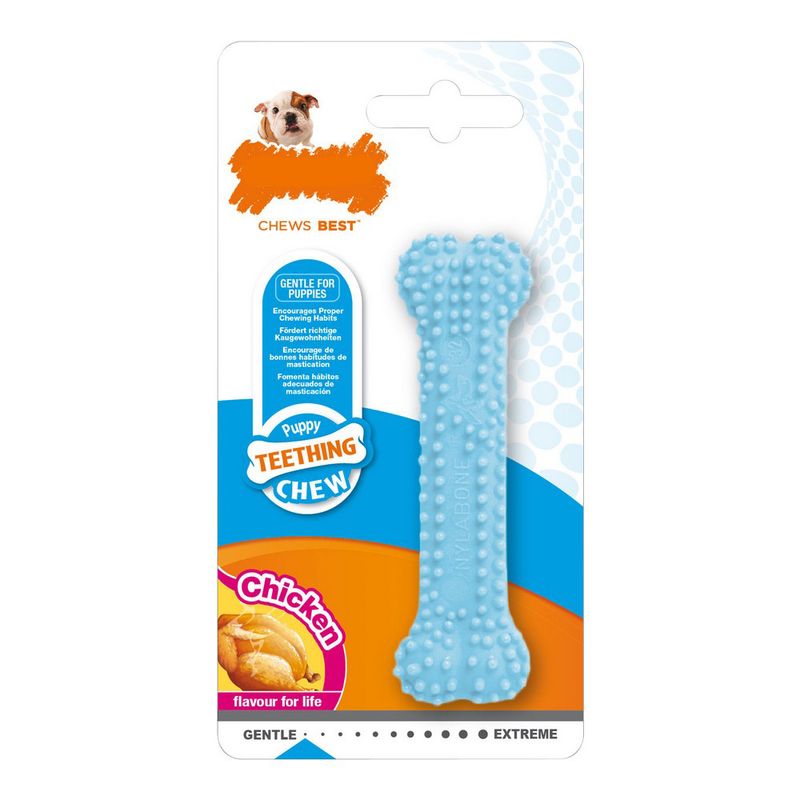 Nylabone - Jouet à mâcher - Puppy Teething Dental Chew