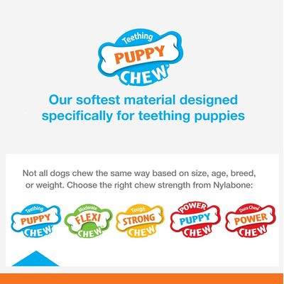 Nylabone - Jouet à mâcher - Puppy Bone Poulet
