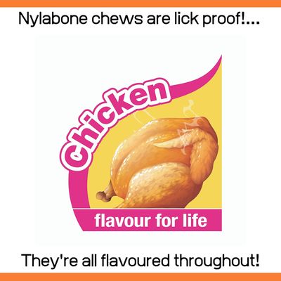 Nylabone - Jouet à mâcher - Puppy Bone Poulet