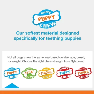 Nylabone - Jouet à mâcher - Pour chiots Nylabone - Jouet à mâcher - Pour chiots