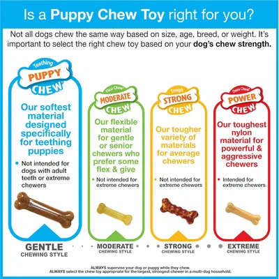 Nylabone - Jouet à mâcher - Pour chiots Nylabone - Jouet à mâcher - Pour chiots
