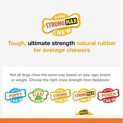 Nylabone - Jouet à mâcher - Strong Chew