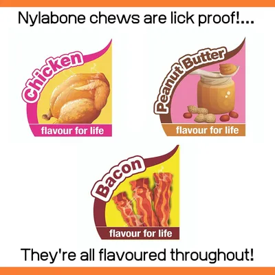 NYLABONE - Jouet à mâcher - Pack 3 saveurs