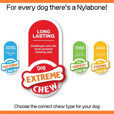 NYLABONE - Jouet à mâcher - Pack 3 saveurs