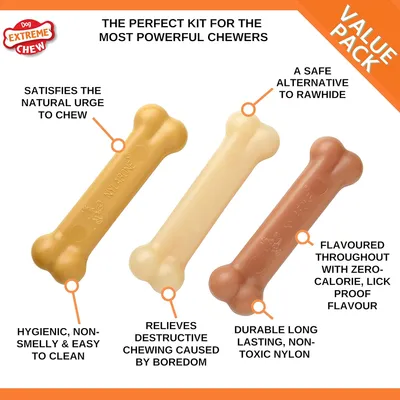 NYLABONE - Jouet à mâcher - Pack 3 saveurs
