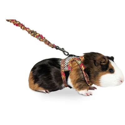 Harnais Flamingo Art Joy Mélange - Pour Cochon d'inde & Furet