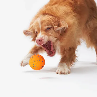 CHEERBLE - Balle Interactive - Wicked Ball Air