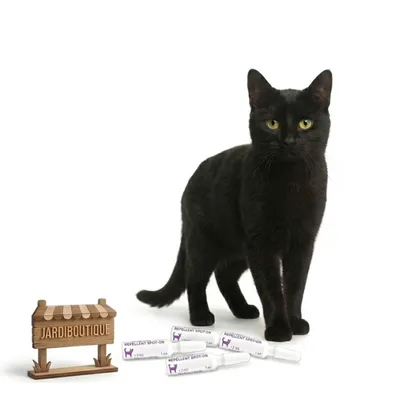 4 Pipettes antiparasitaires Icaridine Francodex - Chat plus de 2 kg