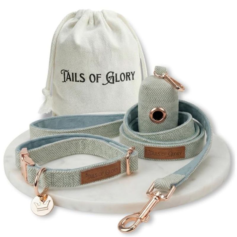 Tails of Glory Ensemble Promenade Chien 3 Pièces