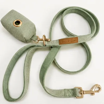 Tails of Glory Ensemble Promenade Chien 3 Pièces