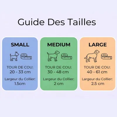 Tails of Glory Ensemble Promenade Chien 3 Pièces