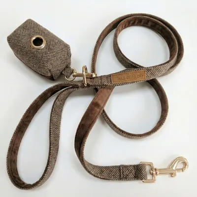 Tails of Glory Ensemble Promenade Chien 3 Pièces