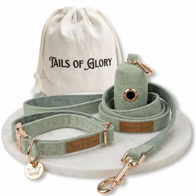 Tails of Glory Ensemble Promenade Chien 3 Pièces