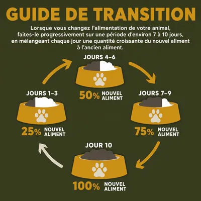 CHARM Croquettes Bœuf pour Chien - Sans Céréales