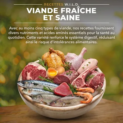 CHARM Croquettes Poulet Fermier pour Chien - Sans Céréales