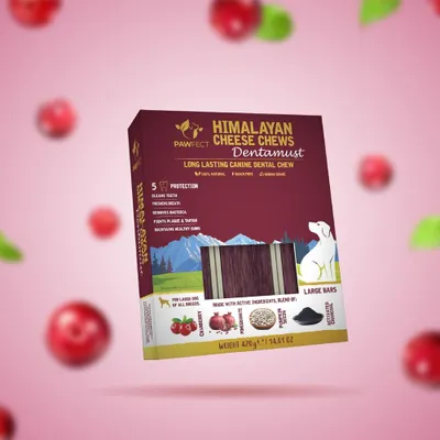 Pawfect - Friandise pour Chien - Dentamust Bars Canneberges