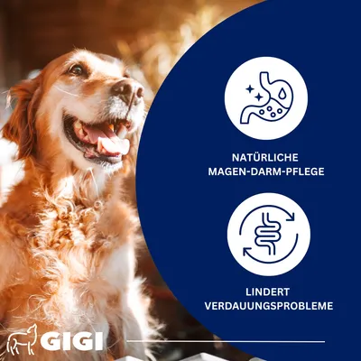 Magen & Darm Komfort Für Hunde & Katzen Beruhigt den Magen GIGI VET Magen & Darm Komfort Für Hunde & Katzen Beruhigt den Magen GIGI VET