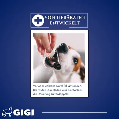 Magen & Darm Komfort Für Hunde & Katzen Beruhigt den Magen GIGI VET Magen & Darm Komfort Für Hunde & Katzen Beruhigt den Magen GIGI VET