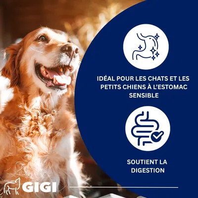 Confort Estomac & Intestin – aide contre intolérances GIGI VET