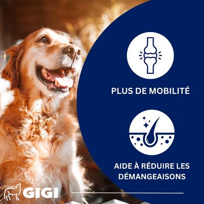 Croissance du Chiot – Dents & Articulations Fortes GIGI VET