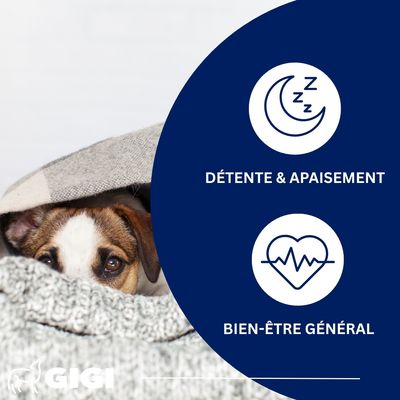 Stress Control Chiens et Chats GIGI VET