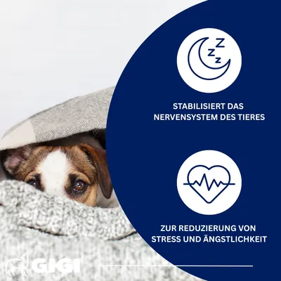 da-ba RELAX Plus Für Hunde und Katzen Sorgt Für Entspannung GIGI VET