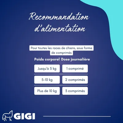 GIGI VET Croissance du Chiot – Dents & Articulations Fortes