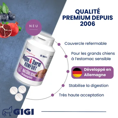 GIGI VET Confort Estomac & Intestin pour grands chiens