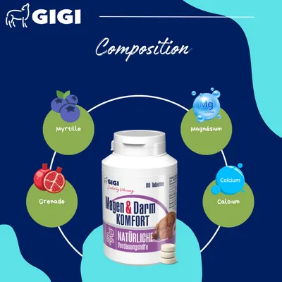 GIGI VET Confort Estomac & Intestin pour grands chiens