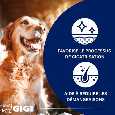 Oméga 3 & Calcium Naturel GIGI VET