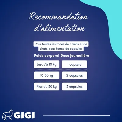 Oméga 3 & Calcium Naturel GIGI VET