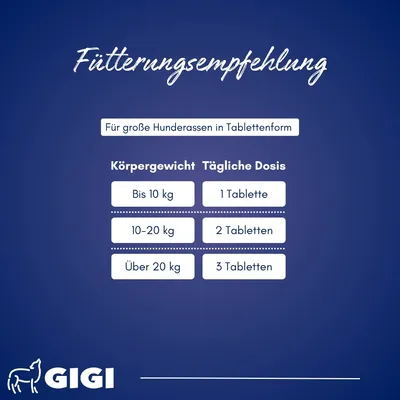 Magen & Darm Komfort Für große Hunde Mehr Wohlbefinden GIGI VET